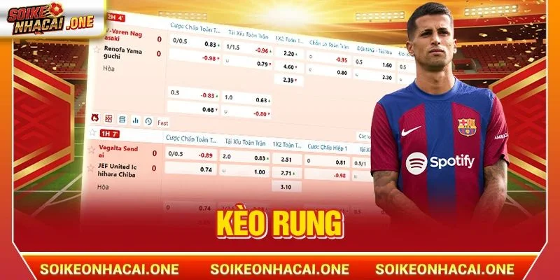 Kèo Rung: 3 Phút Hiểu Toàn Bộ Cách Chơi, Mẹo Cược Bất Bại Kèo Rung: 3 Phút Hiểu Toàn Bộ Cách Chơi, Mẹo Cược Bất Bại